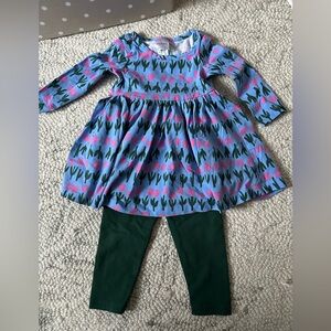 [Hanna Andersson] Tulip Dress with Green Leggings